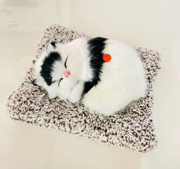 Sleeping Cat - White & Black - Image 4