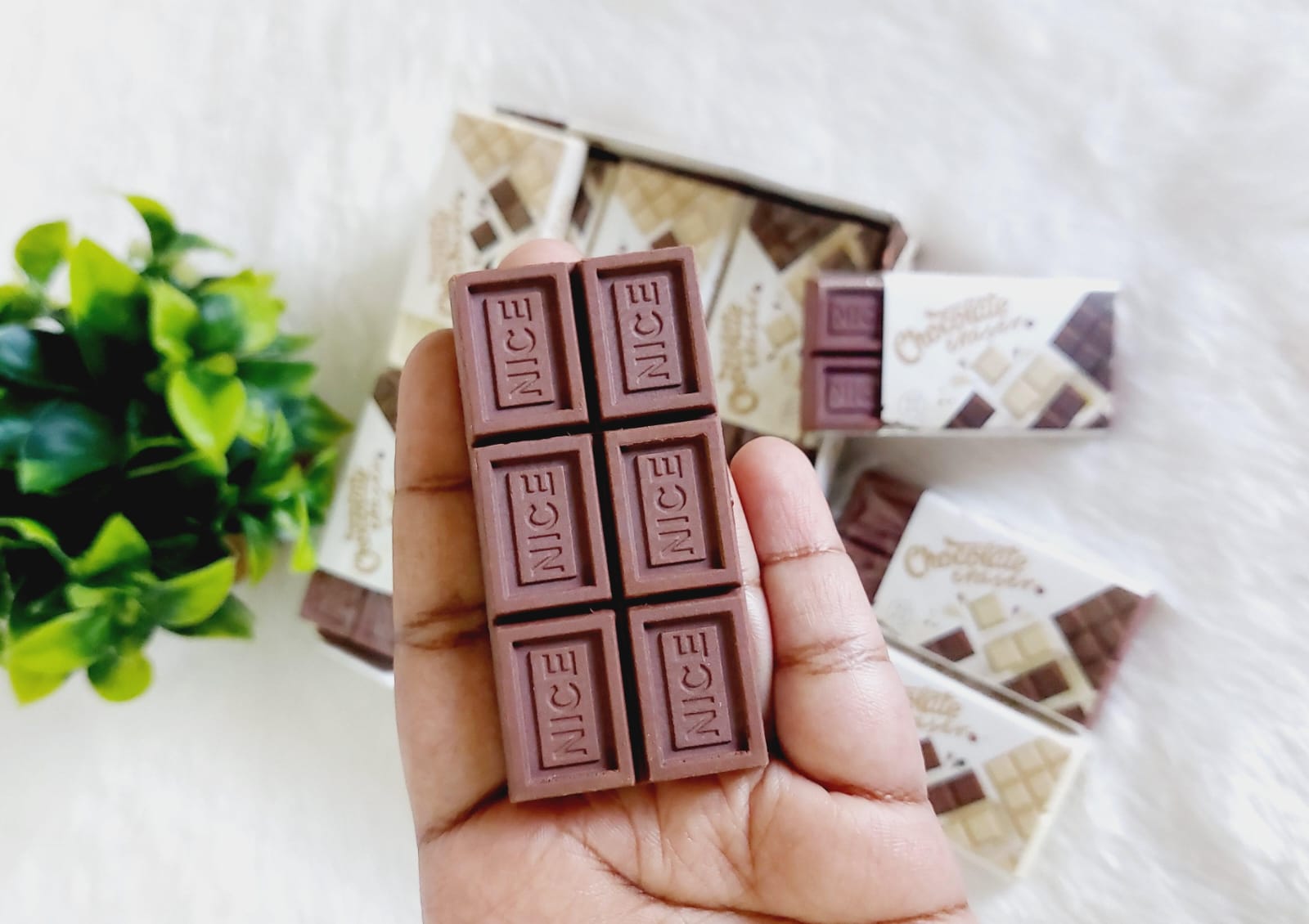 Chocolate Eraser | Pack of 1