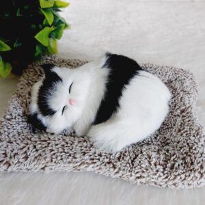 Sleeping Cat - White & Black