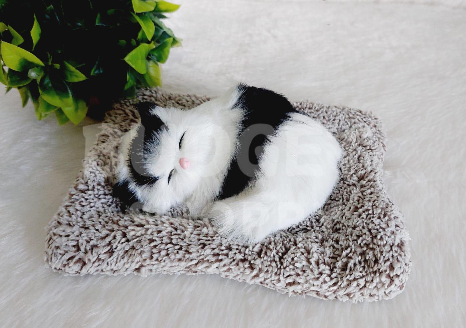 Sleeping Cat - White & Black