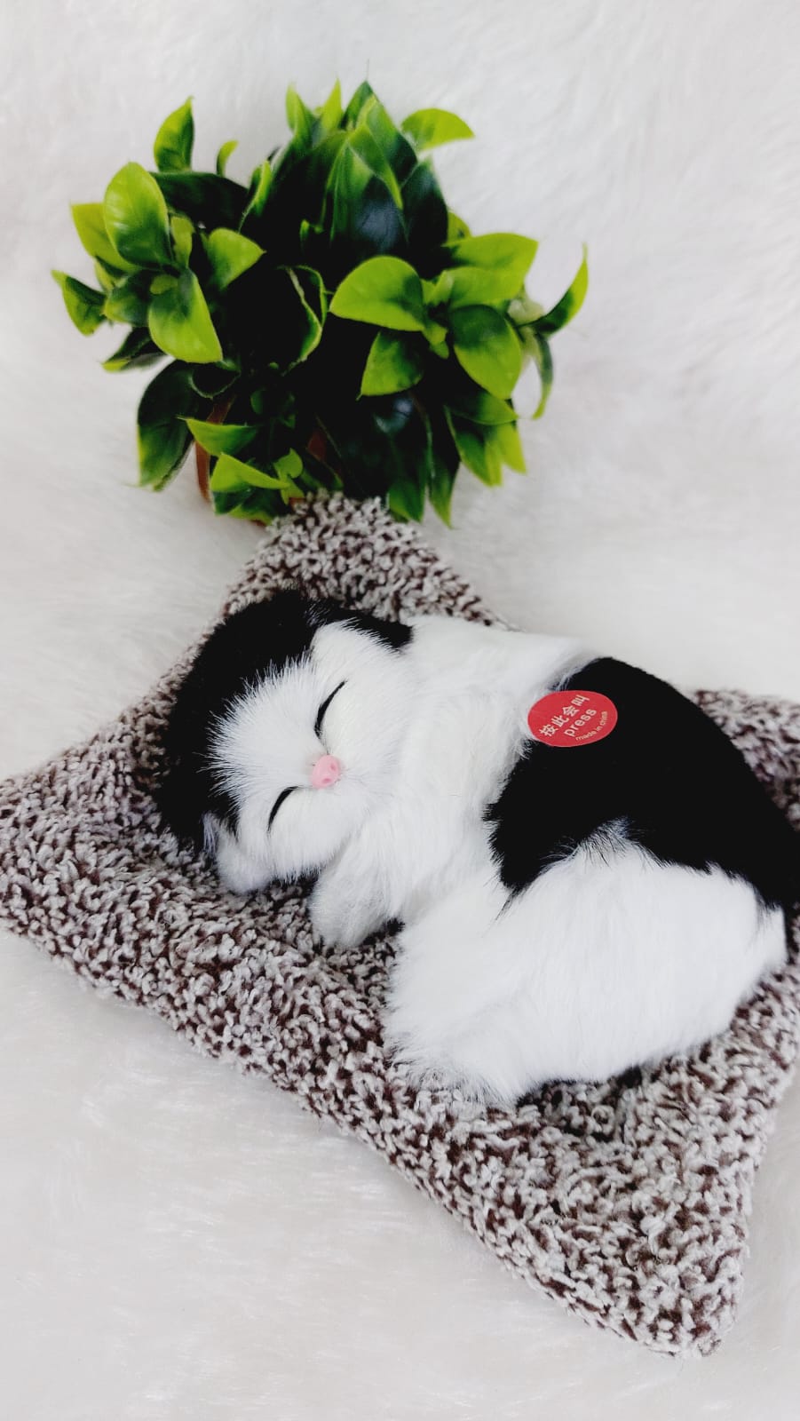 Sleeping Cat - White & Black - Image 3