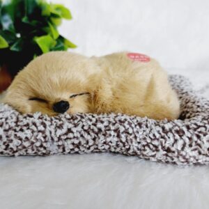 WhatsApp Image 2025-03-19 at 11.53.40 AM (1)