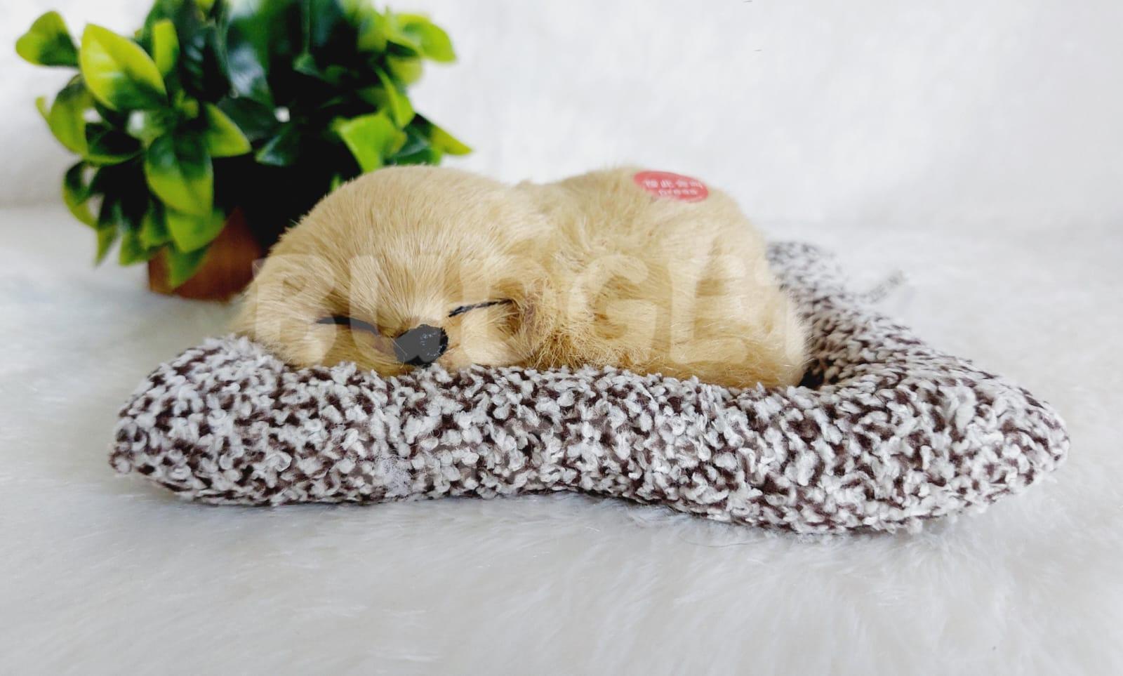 Sleeping Dog | Brown - Image 2