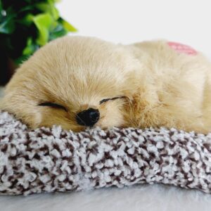 Sleeping Dog | Brown