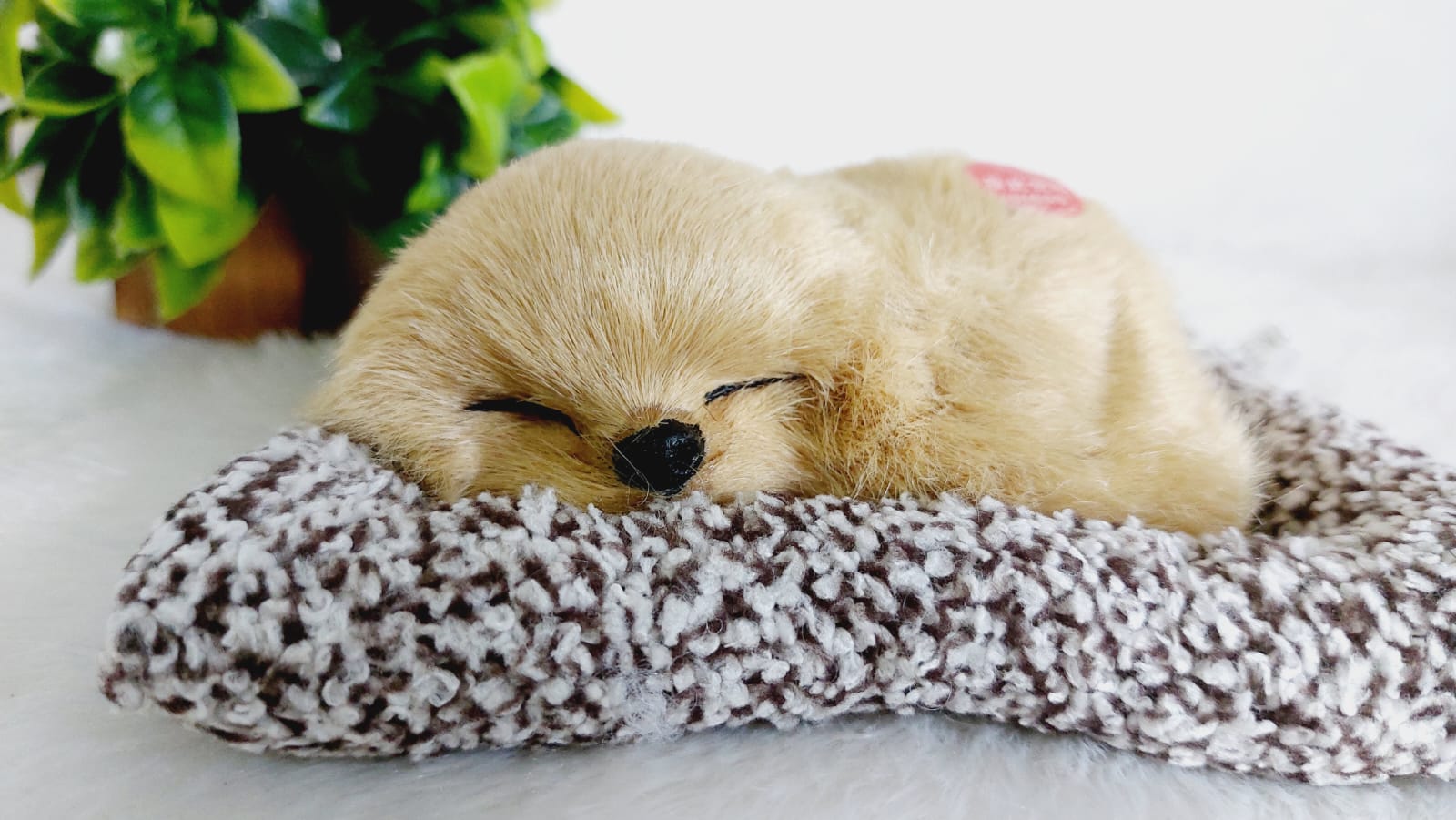 Sleeping Dog | Brown