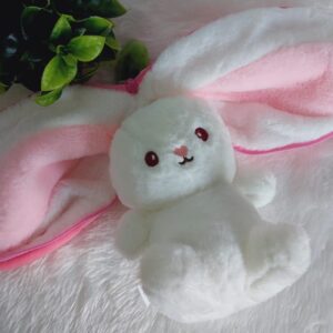 Imported Zipper Bunny Soft Toys