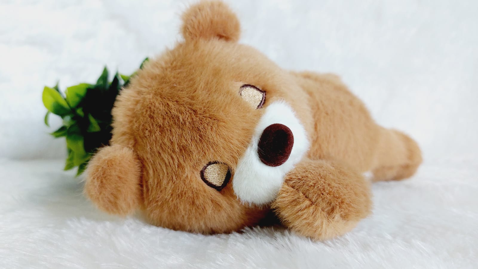 Breathing Teddy Bear (Model 2) - Image 3
