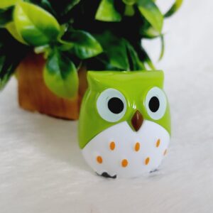 WhatsApp Image 2025-03-24 at 3.16.21 PM