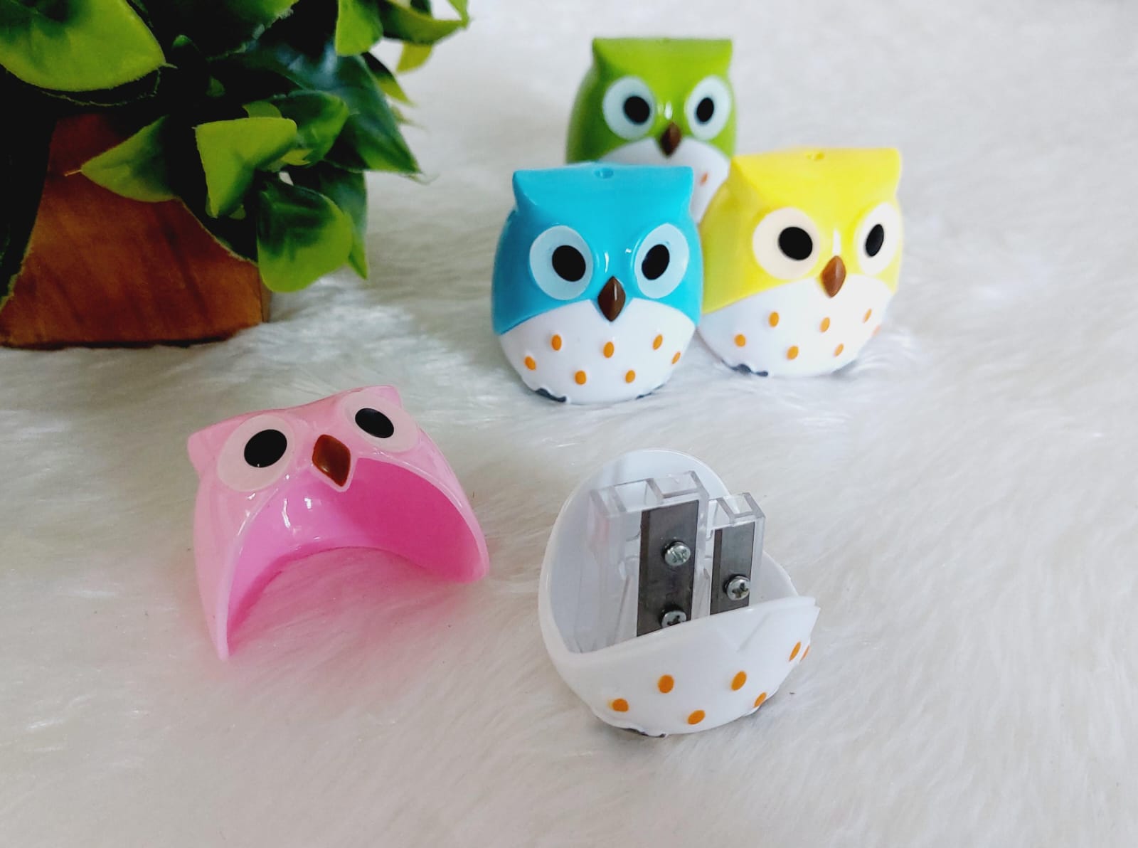 Owl Sharpner | Randon Colour - Image 7