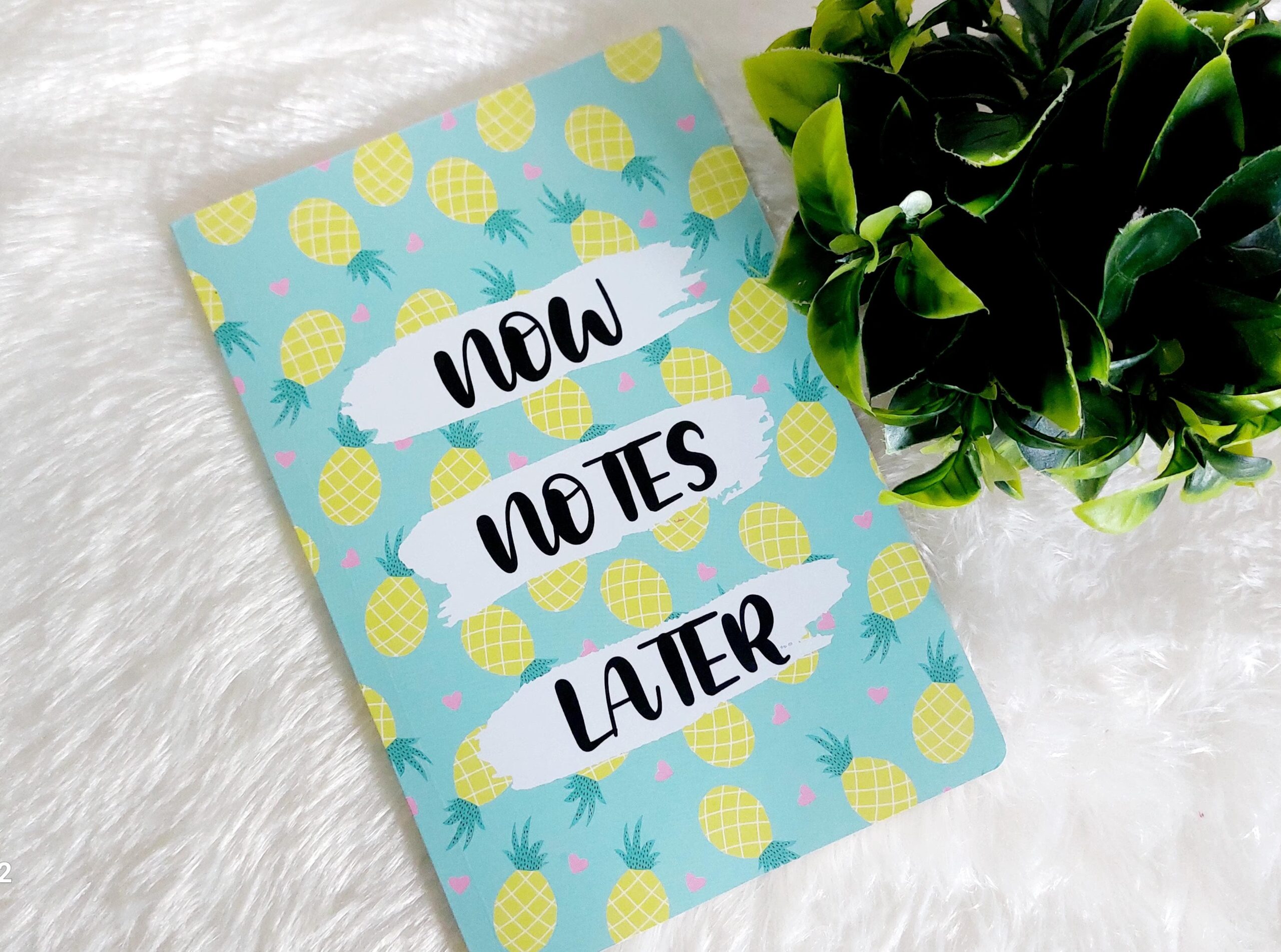 Classical Trendy A5 Diary (Now Notes Later) - Image 3