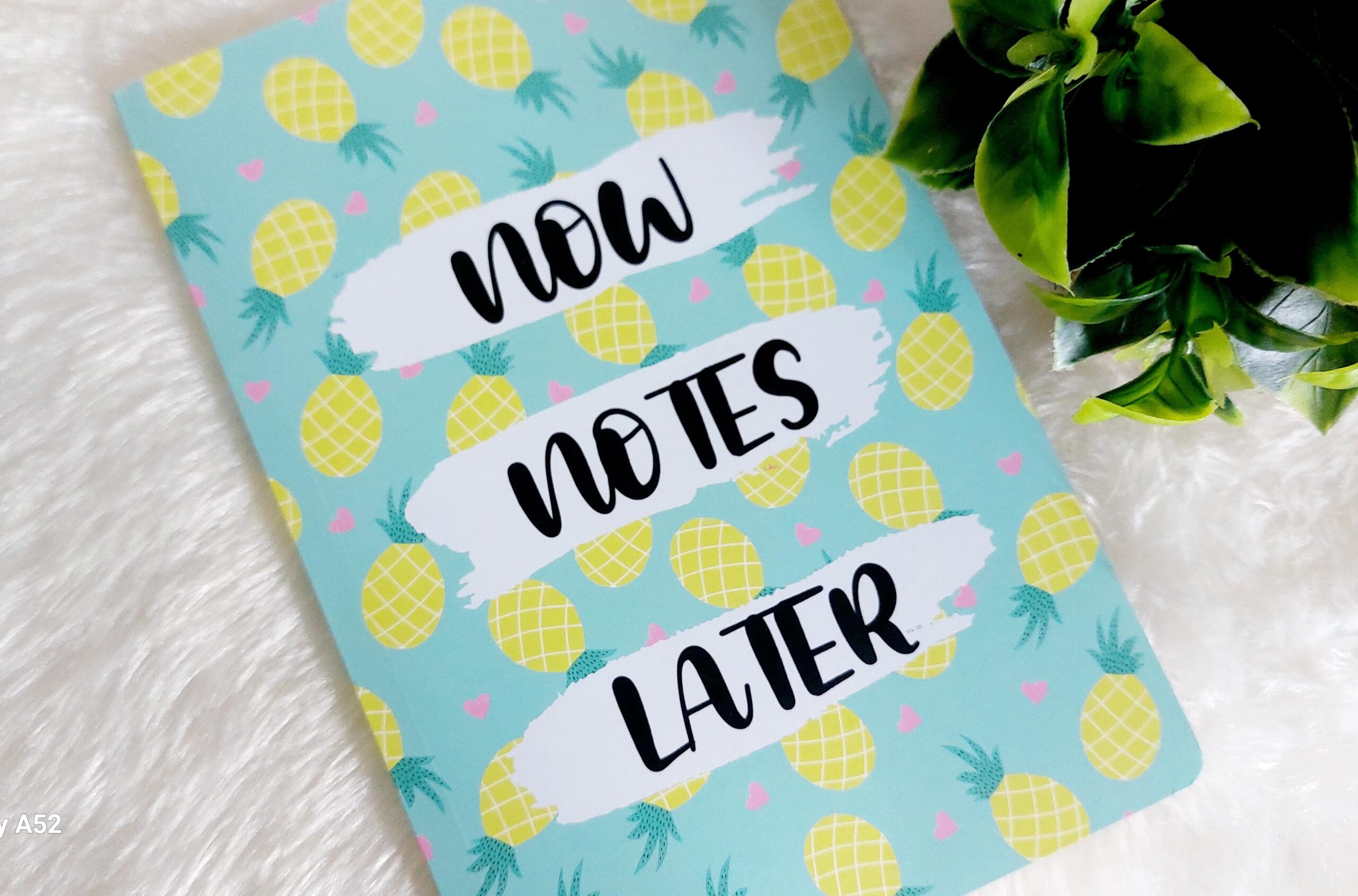 Classical Trendy A5 Diary (Now Notes Later) - Image 2