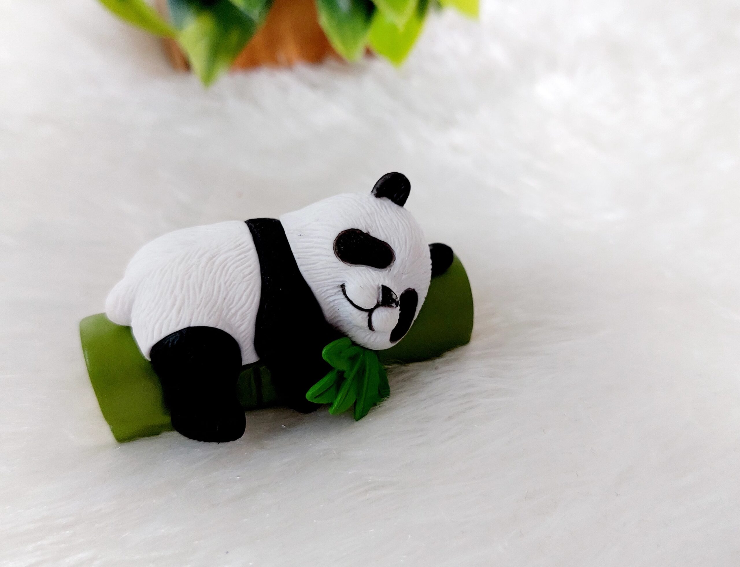 Miniature Panda (Model 6) - Image 3