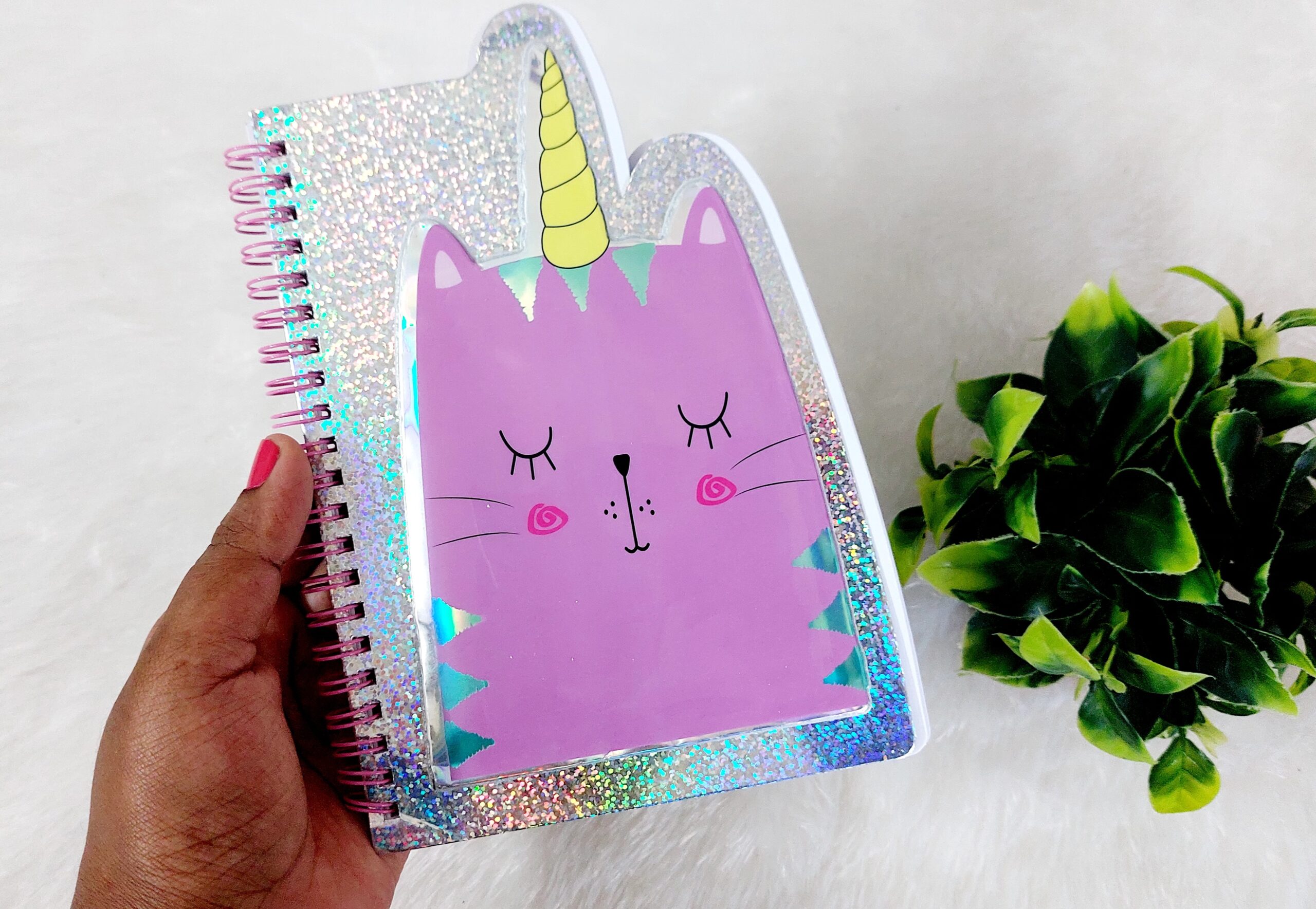 Unicorn Chamki Diary (Model 4)