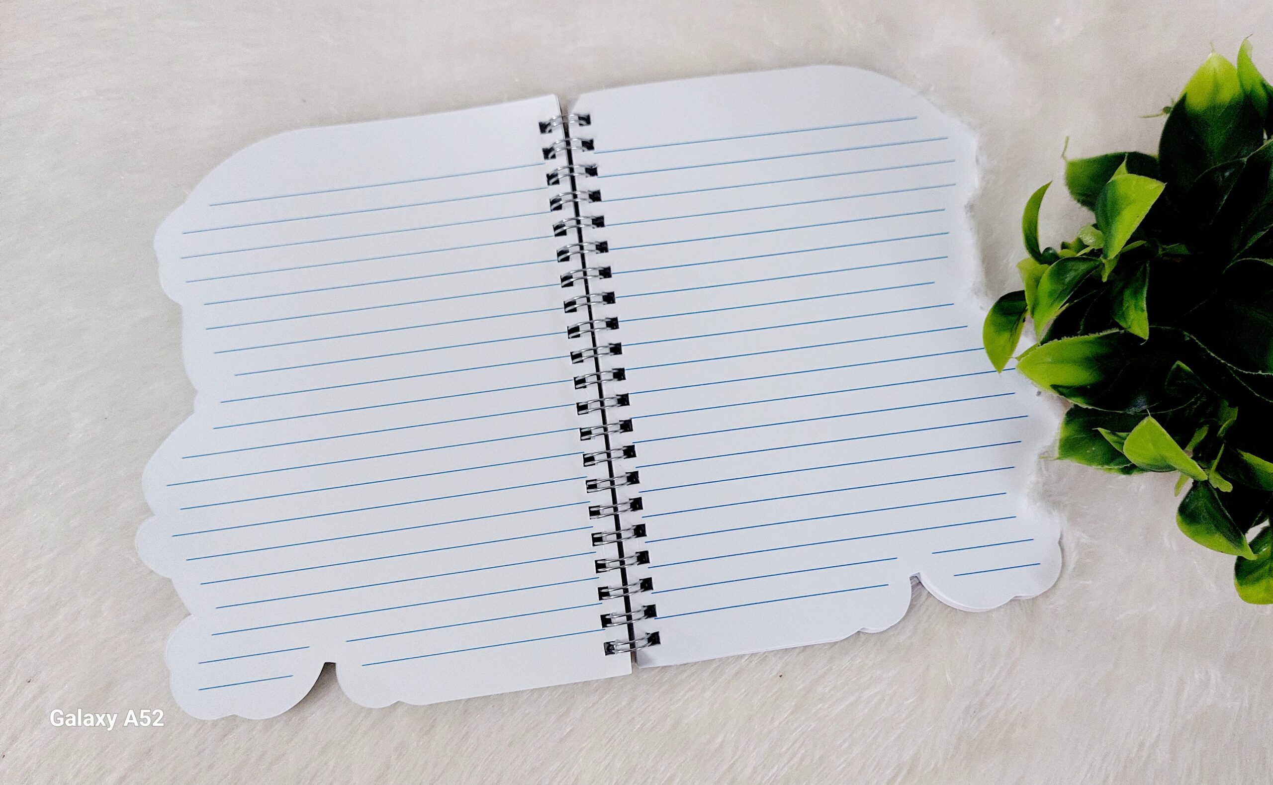 Penguin Chamki Diary - Image 5