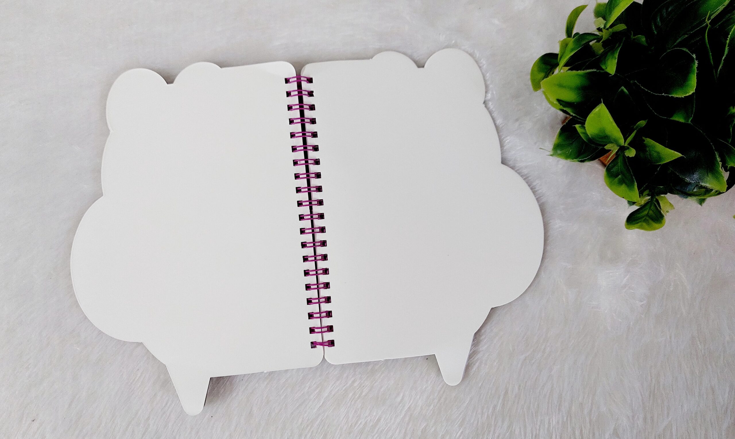 Honey Bee Chamki Diary - Image 5