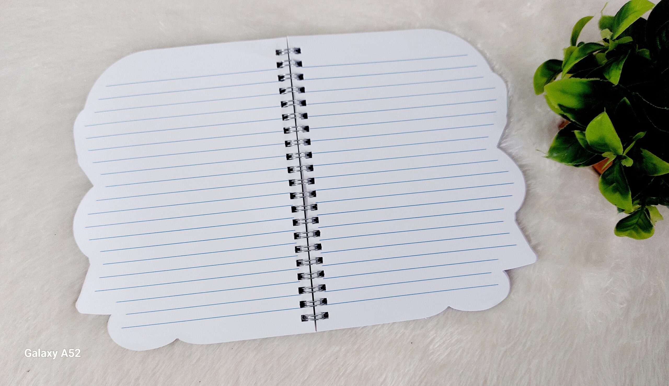 Astronaut Chamki Diary - Image 5