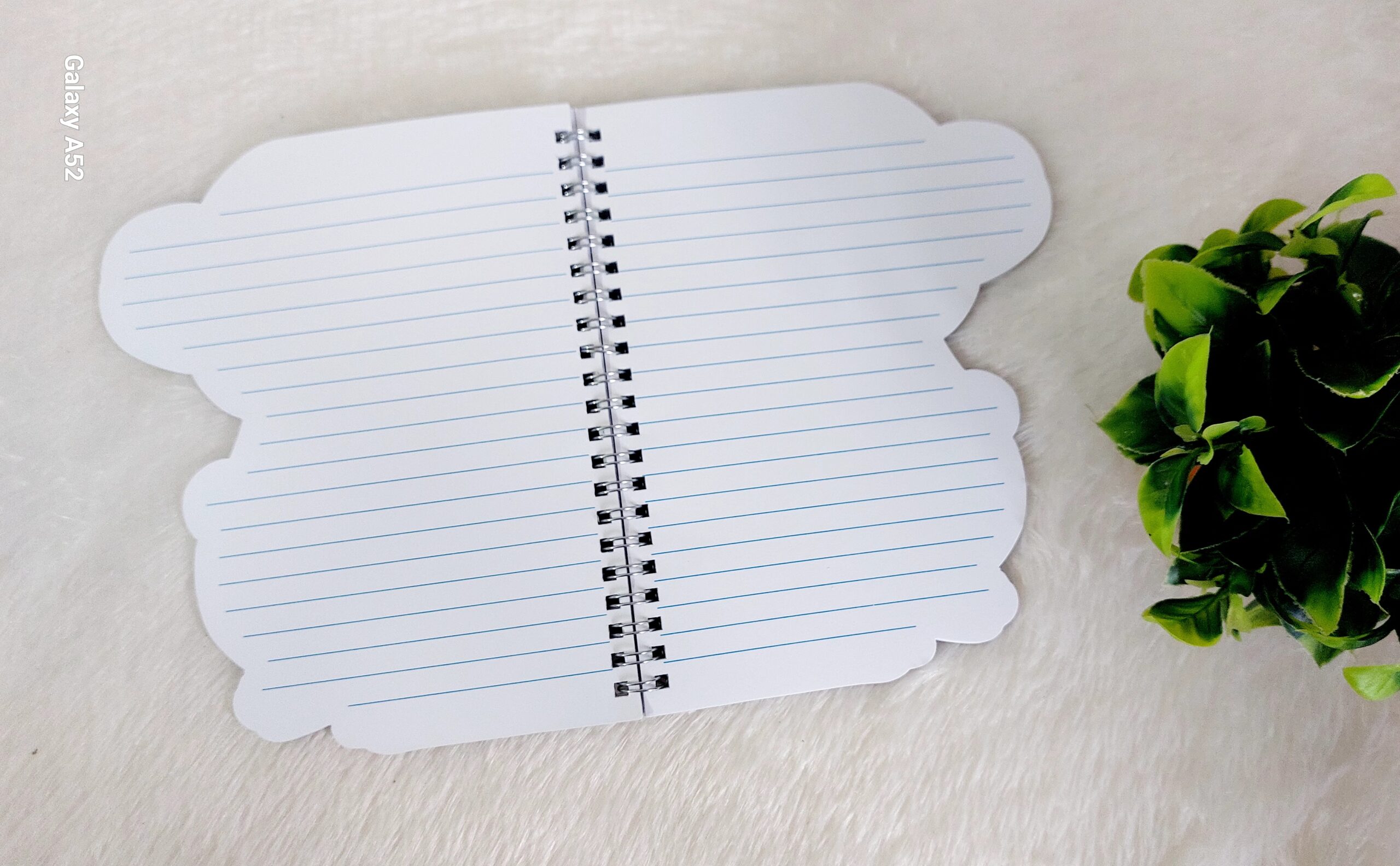 Dinosaur Chamki Diary - Pack of 1 - Image 7