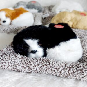 Sleeping Dog | Black & White