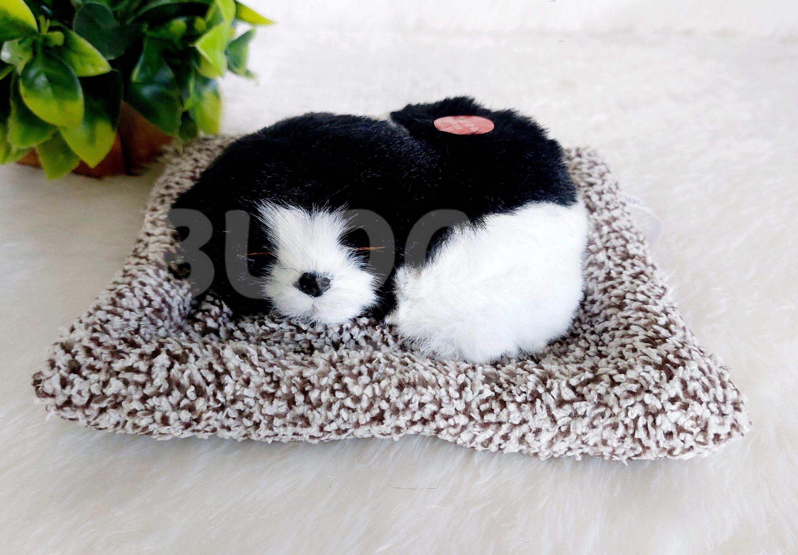 Sleeping Dog | Black & White - Image 2