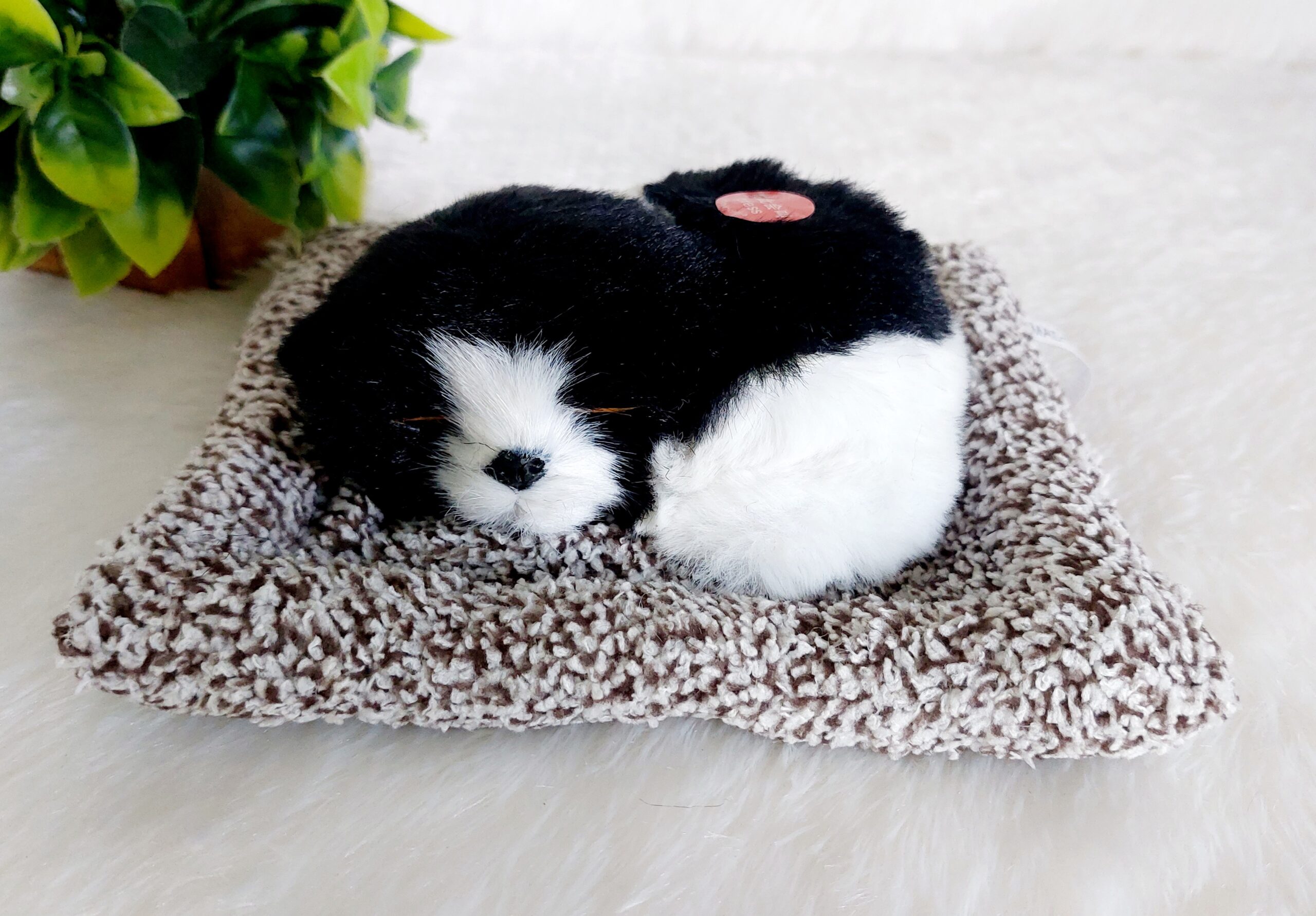 Sleeping Dog | Black & White - Image 2