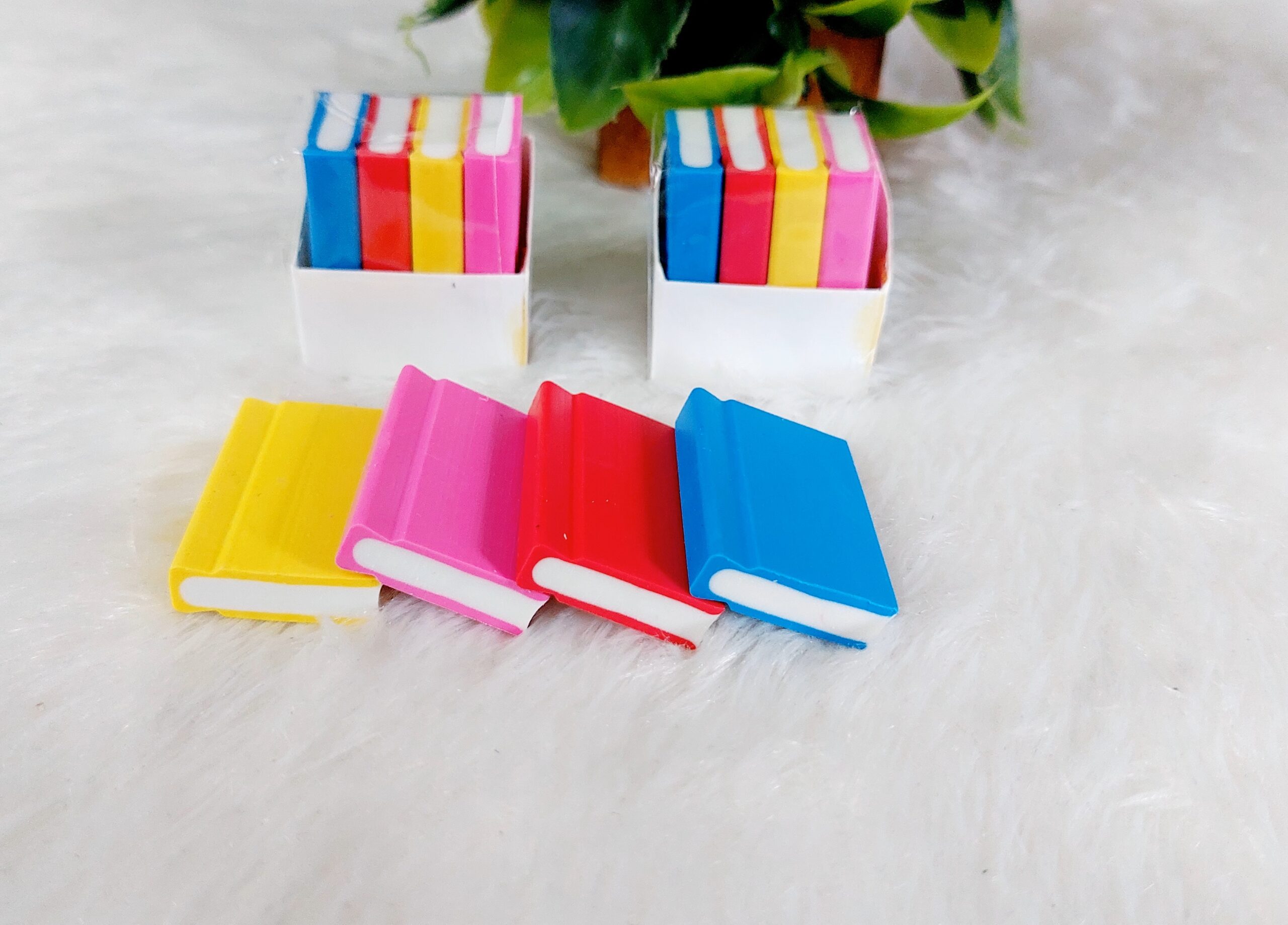 Book Eraser | Set of 4 Books - Image 3