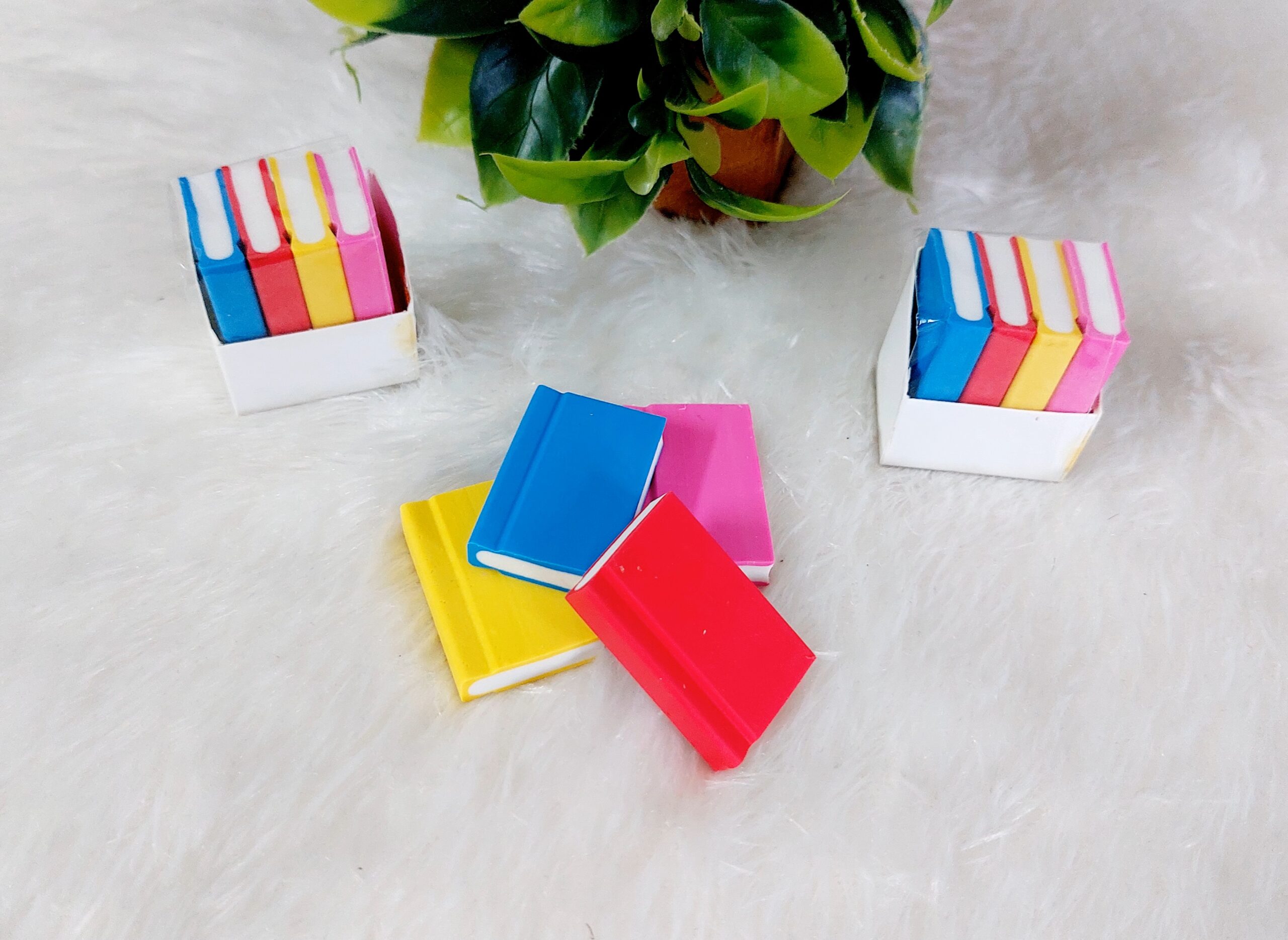 Book Eraser | Set of 4 Books - Image 5