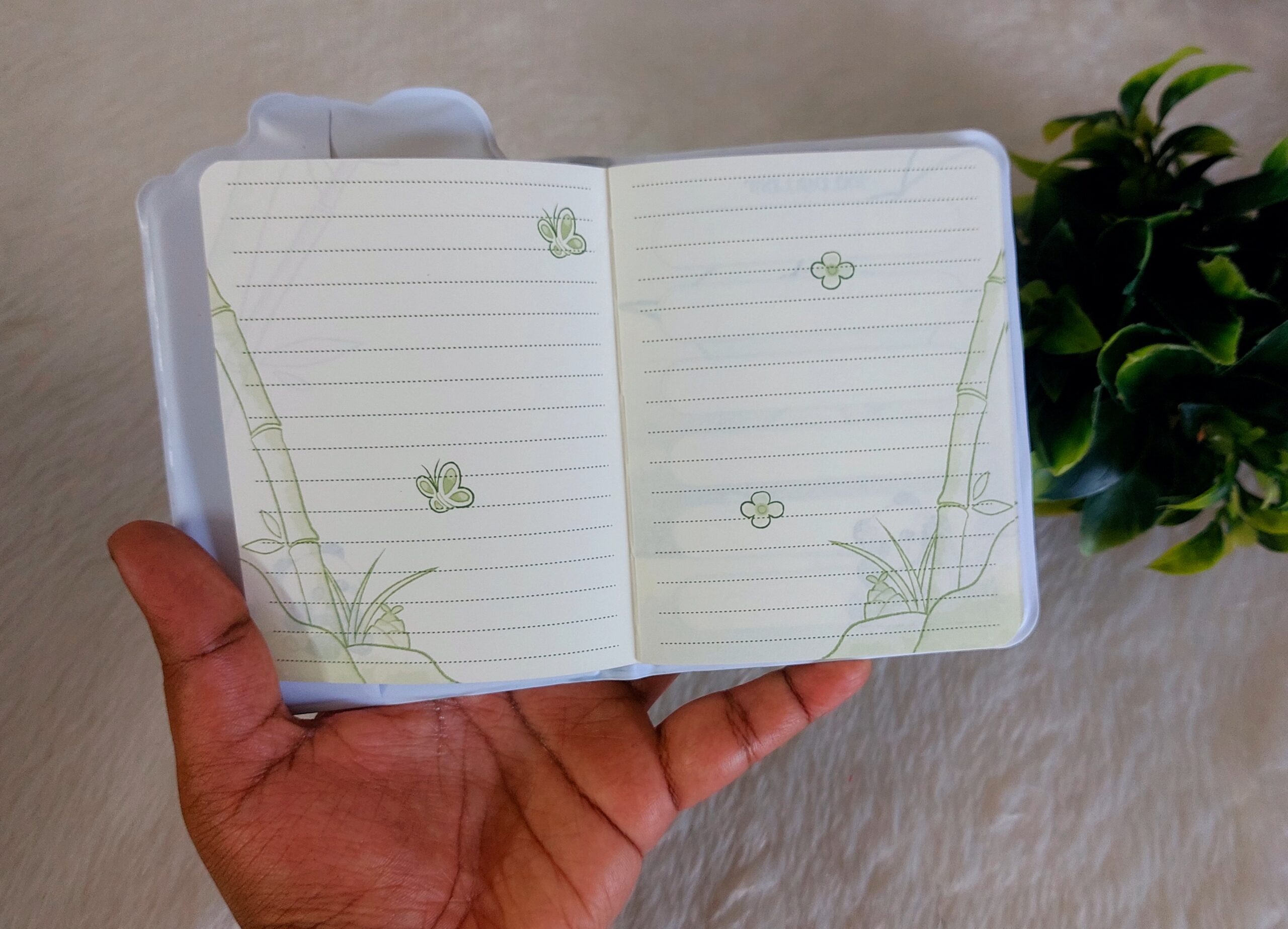 Panda Diary - Image 4