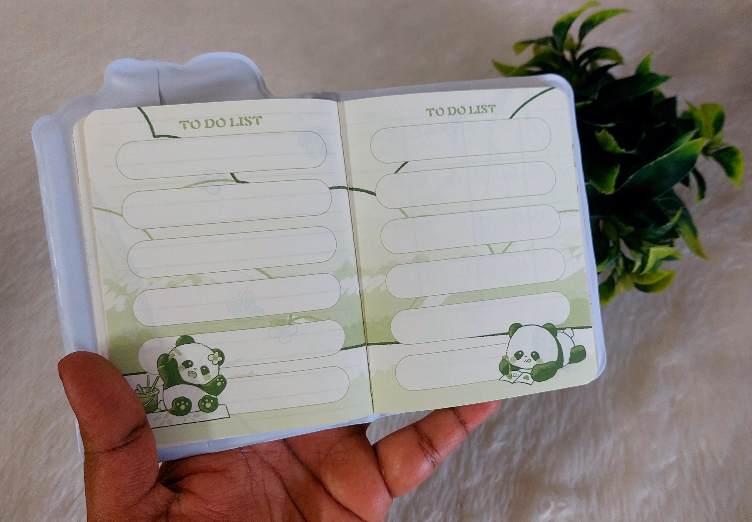 Panda Diary - Image 5