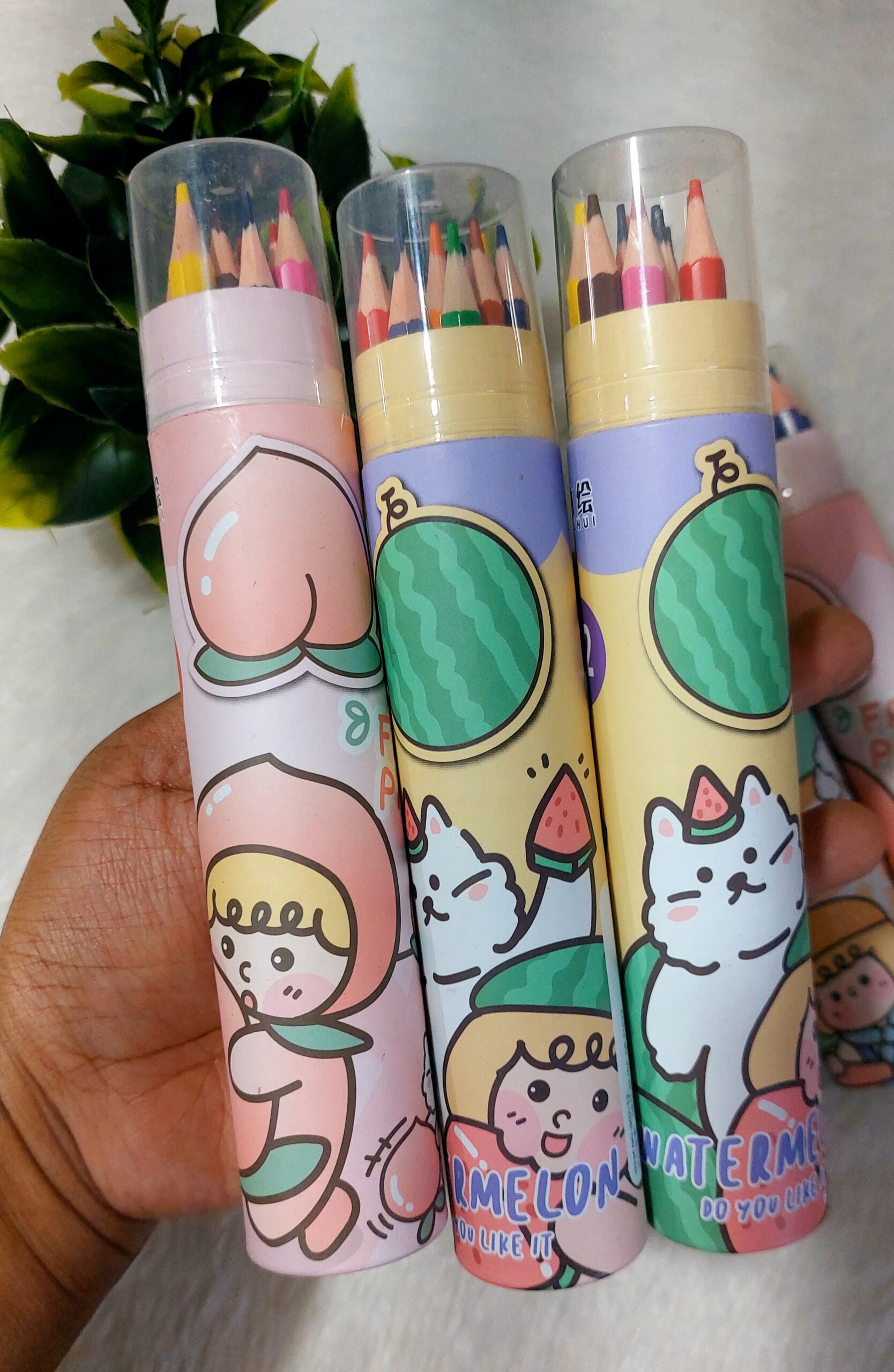 Colour Pencils | Long Pencil | 12 Pencils - Image 2