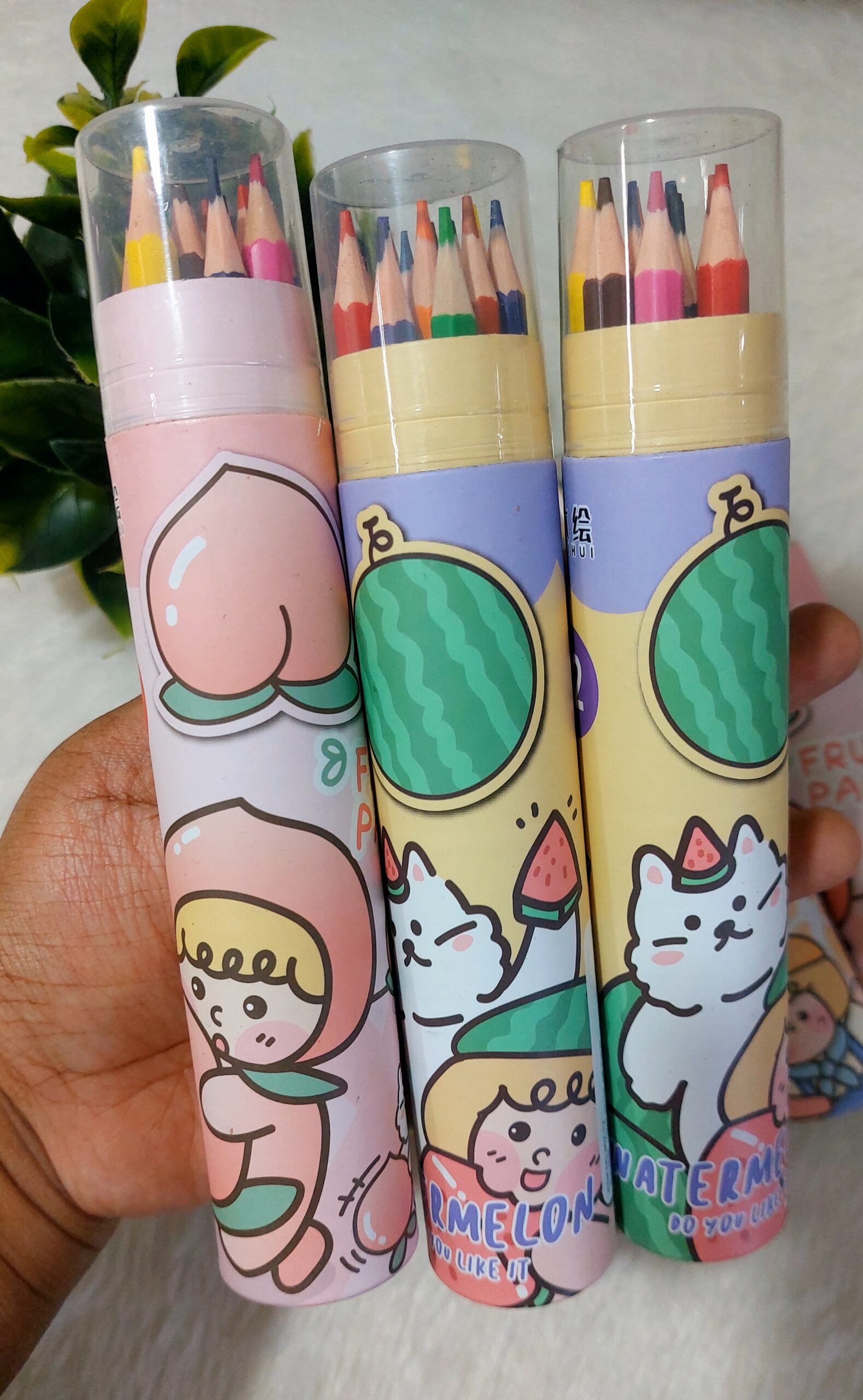 Colour Pencils | Long Pencil | 12 Pencils - Image 3