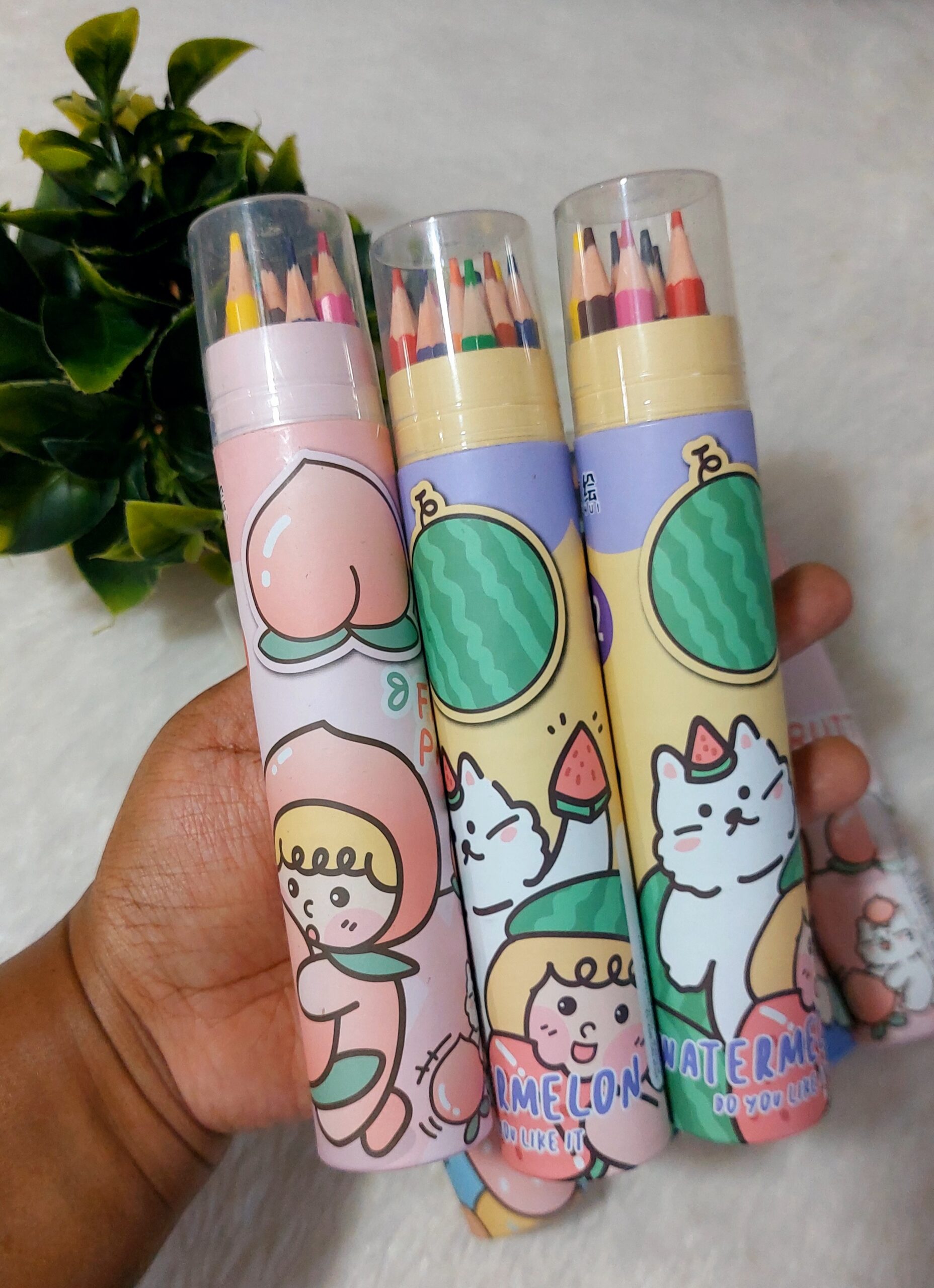 Colour Pencils | Long Pencil | 12 Pencils