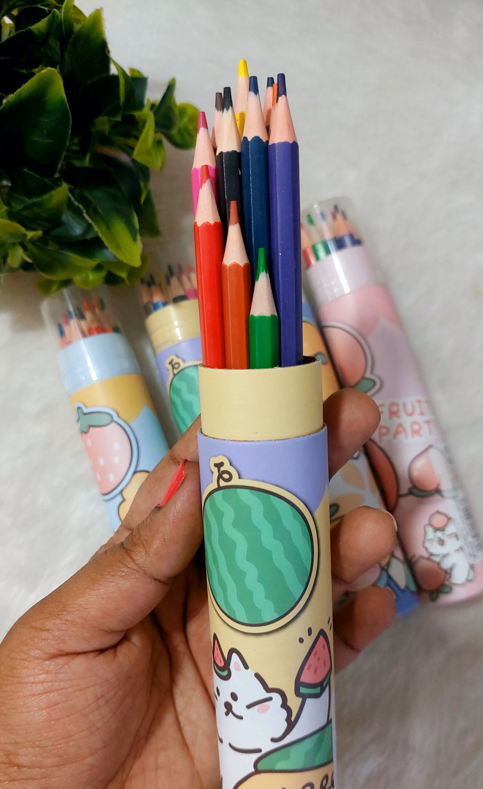 Colour Pencils | Long Pencil | 12 Pencils - Image 5