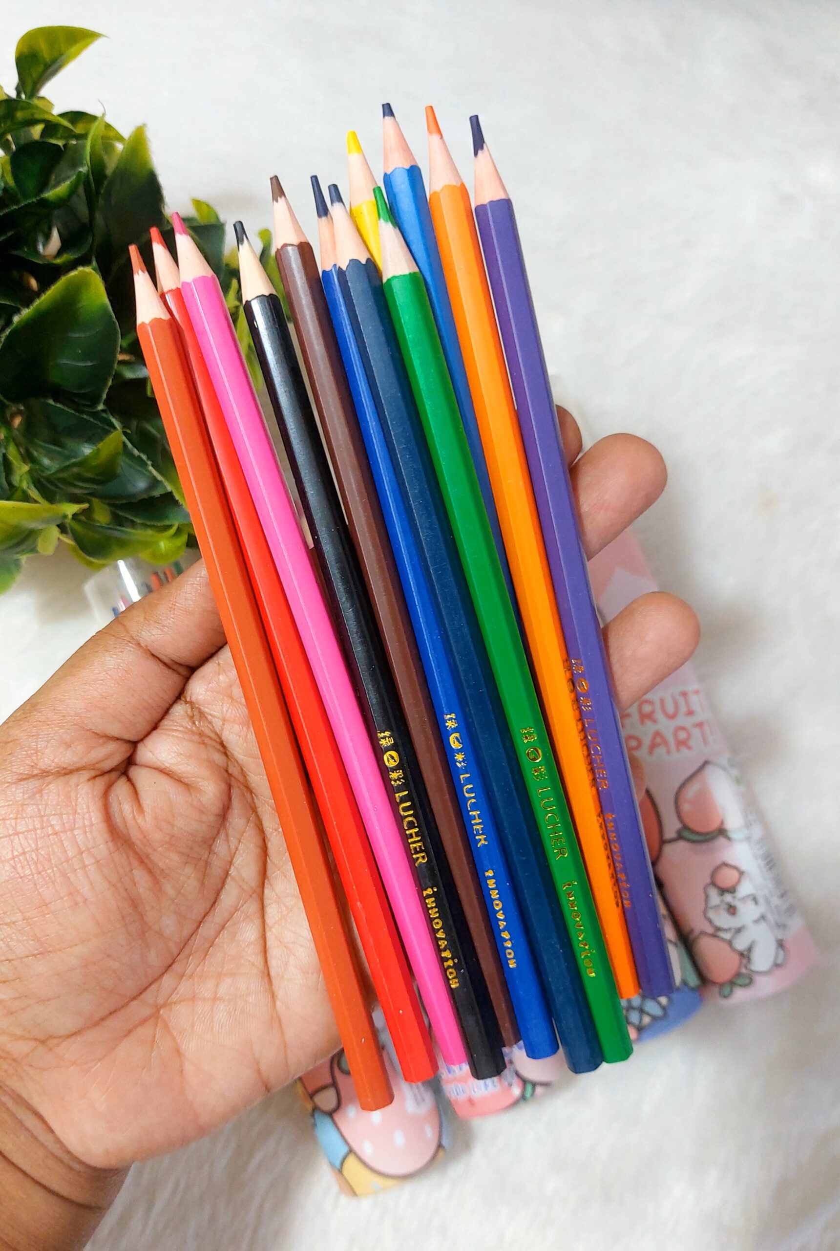 Colour Pencils | Long Pencil | 12 Pencils - Image 7