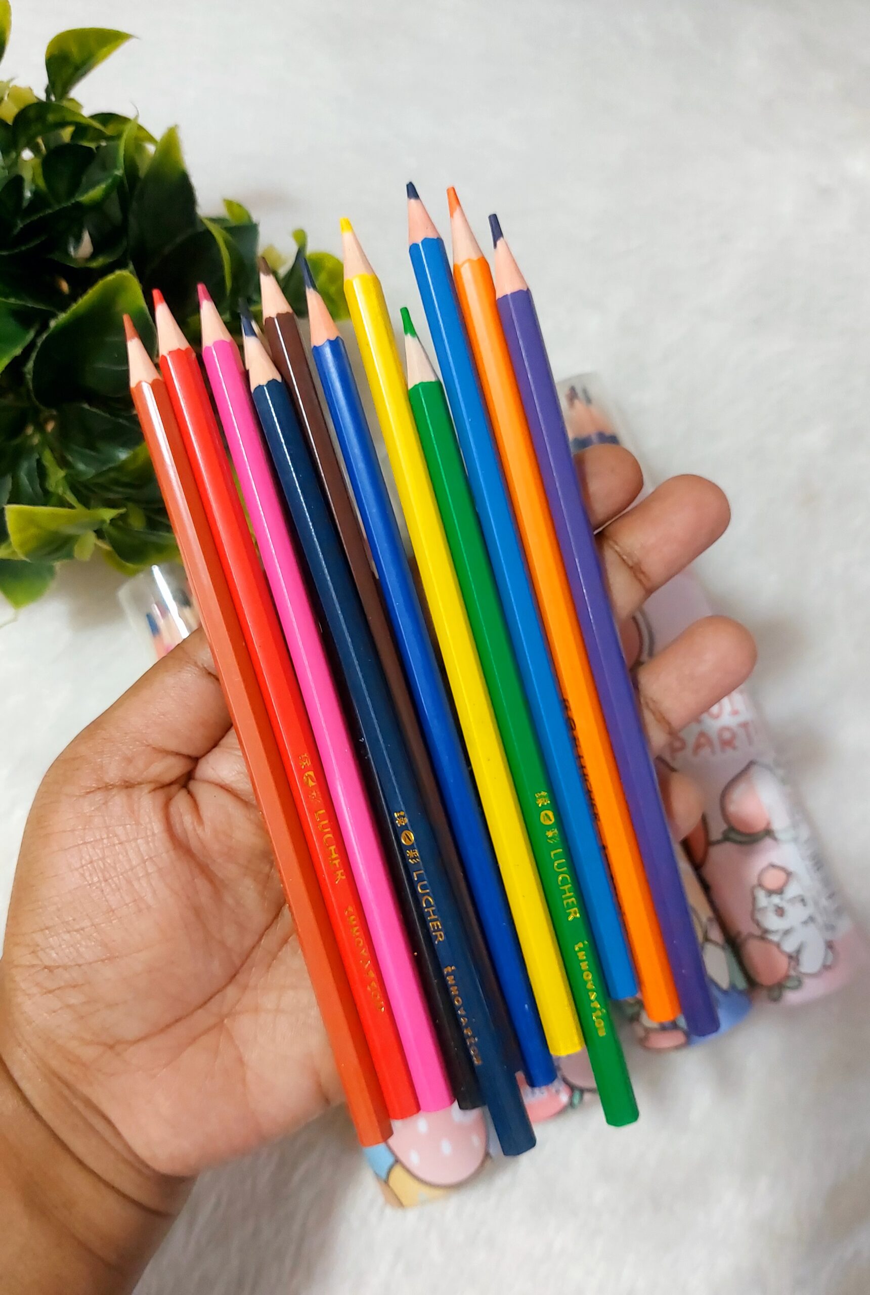 Colour Pencils | Long Pencil | 12 Pencils - Image 8